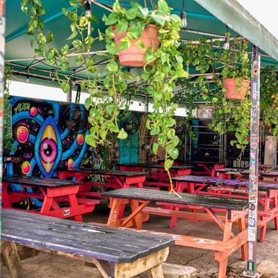 Outdoor patio with a colorful mural, hanging plants and picnic-style tables.