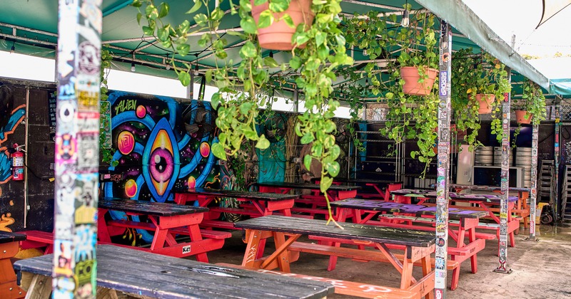 Outdoor patio with a colorful mural, hanging plants and picnic-style tables