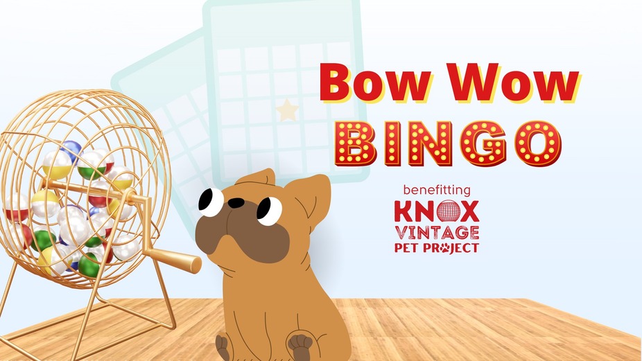 Bow Wow Bingo event photo