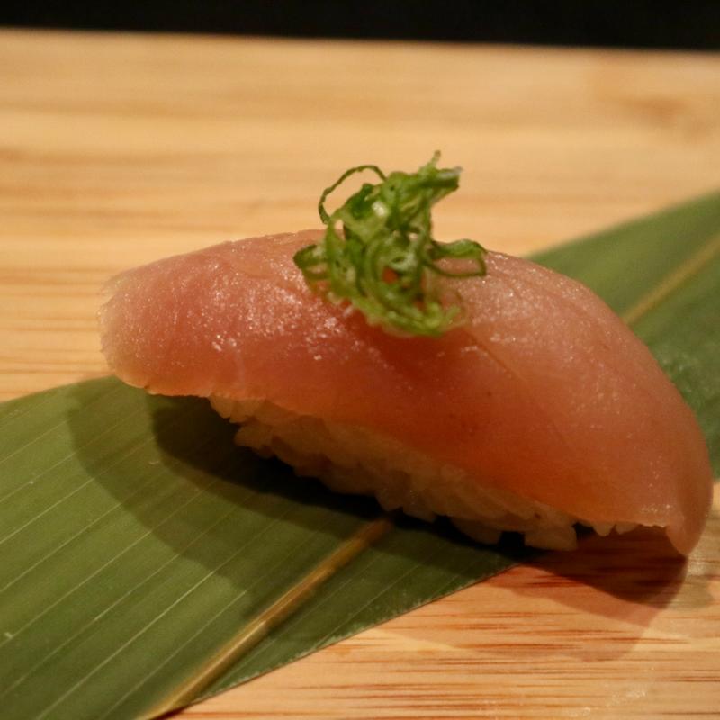Albacore /Bincho* photo