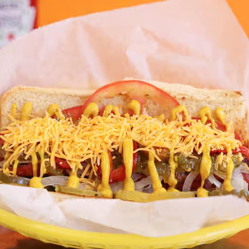 Chicago Dog photo
