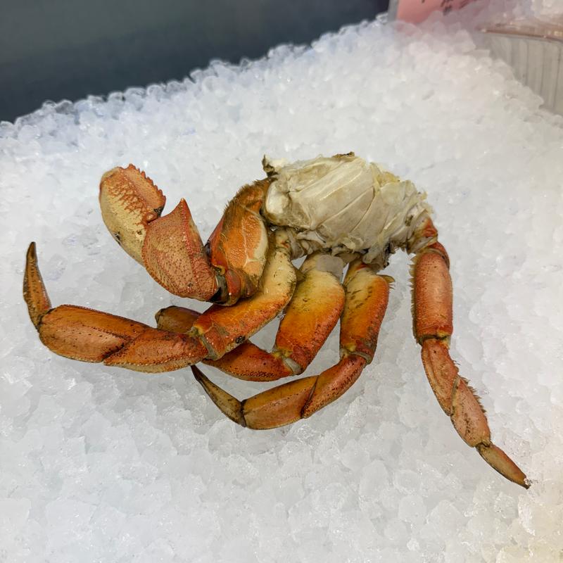 Dungeness Sections photo