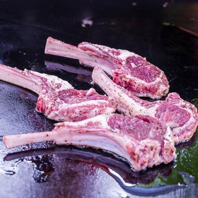 Seasoned uncooked lamb chops on a grill.