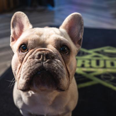 gallery photo number 52