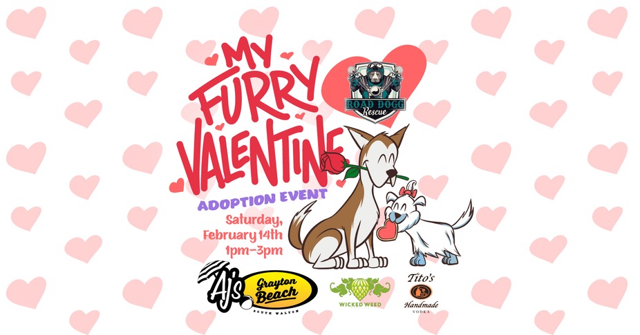 My Furry Valentine at AJ's Grayton Beach event photo