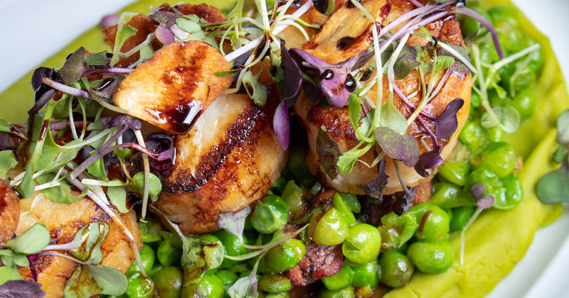Sea scallops