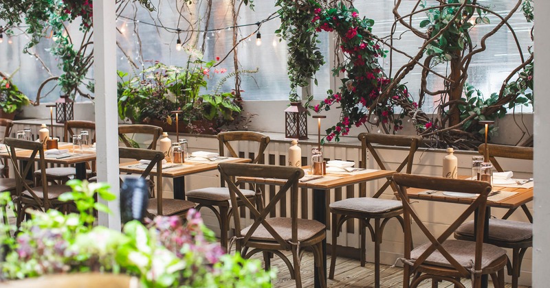 Interior, dining area wit fully set tables and plants in the back