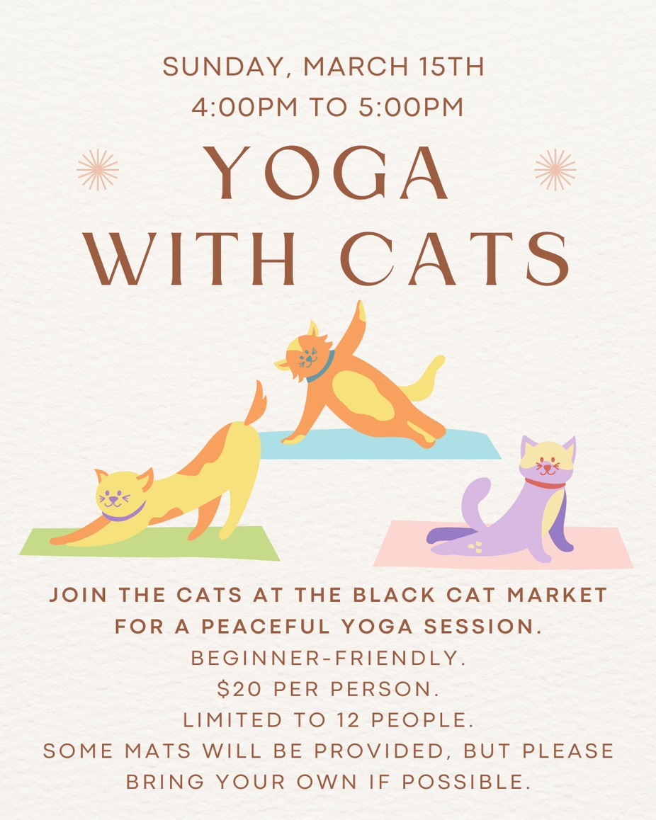 Yoga with Cats - March 15 SOLD OUT event photo