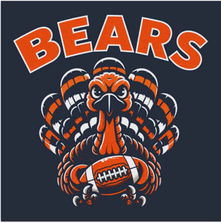 BEARS VS LIONS event photo