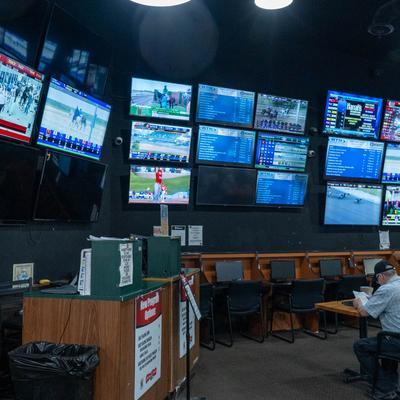 gallery photo number 7