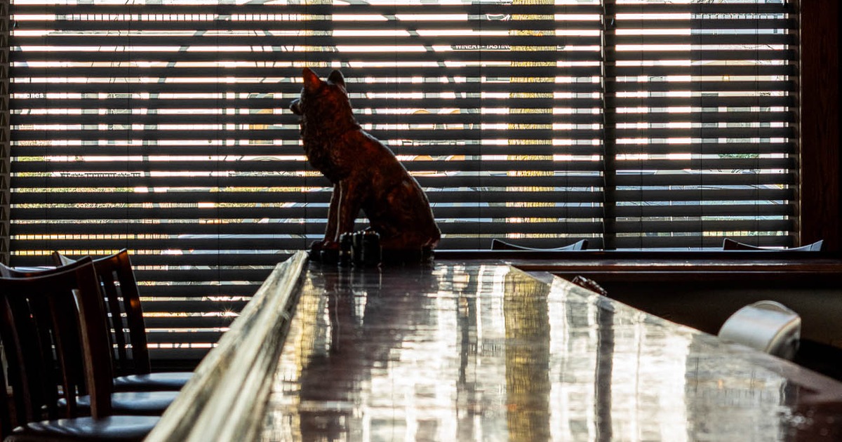 A fox statuette on a table in seating area