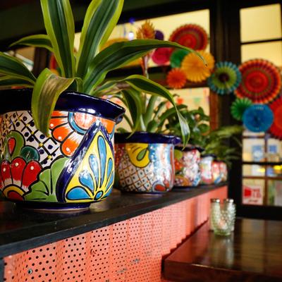 Potted plants in colorful pots.