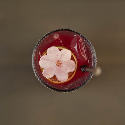 gallery photo number 10