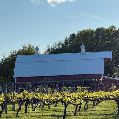 gallery photo number 4