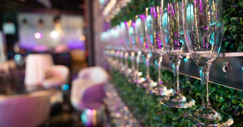 Line of wine glasses elegantly arranged on a bar wall