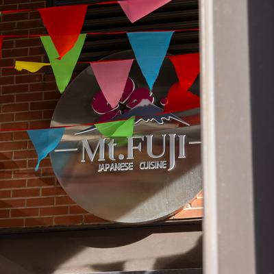 Mt. Fuji, exterior details.