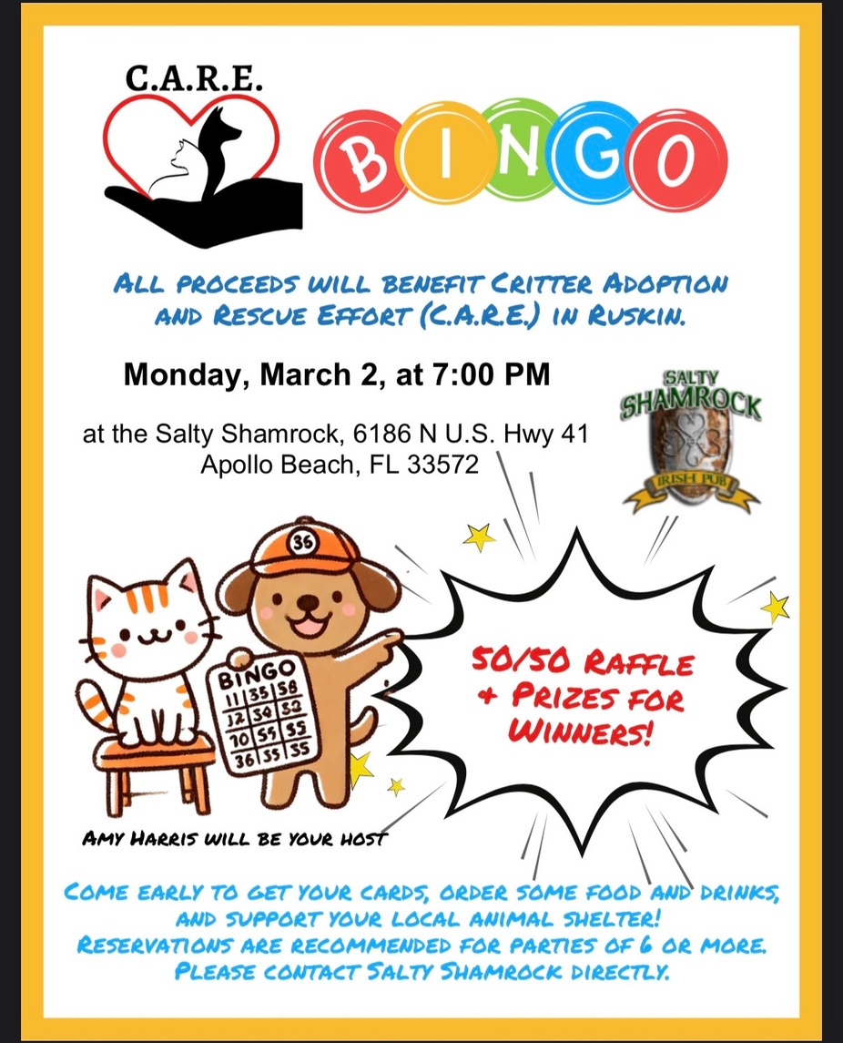 Bingo for a Cause event photo