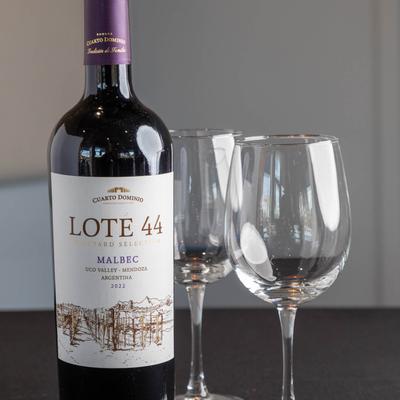 A bottle of red wine and two glasses.