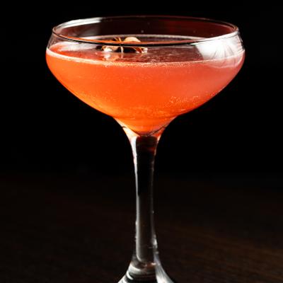 gallery photo number 13