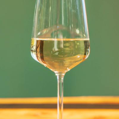 gallery photo number 10