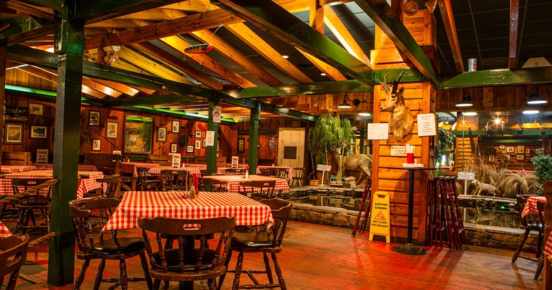 Restaurant interior