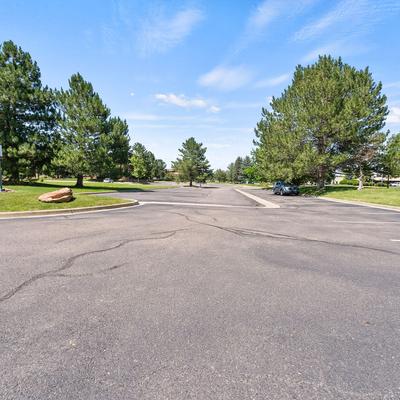 Grass and trees near parking