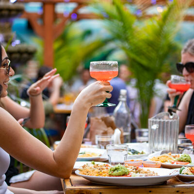 GUests having drinks