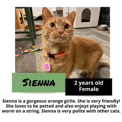 gallery photo number 1