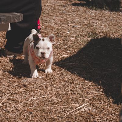 gallery photo number 29