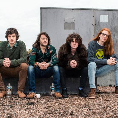 gallery photo number 568