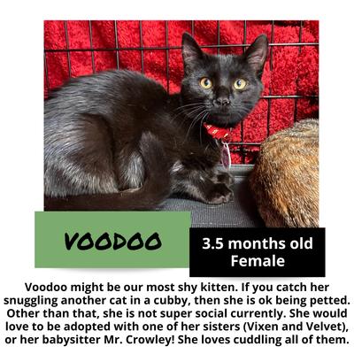 gallery photo number 2