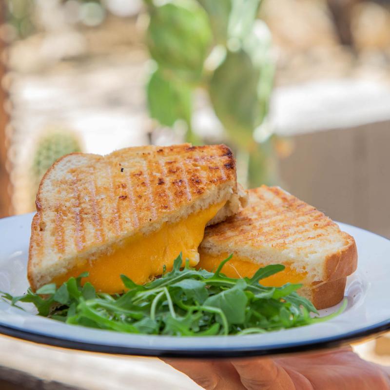 Grilled Cheese photo