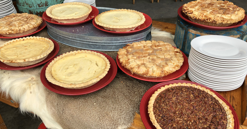 Assorted pies on a catering table