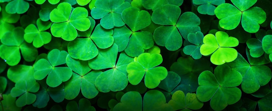 St. Patrick's Day event photo