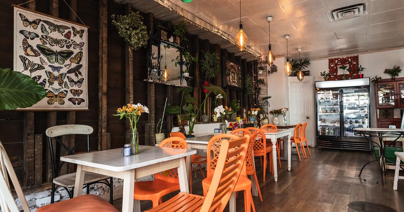 Interior space, cozy seating area decorated with plants and flowers