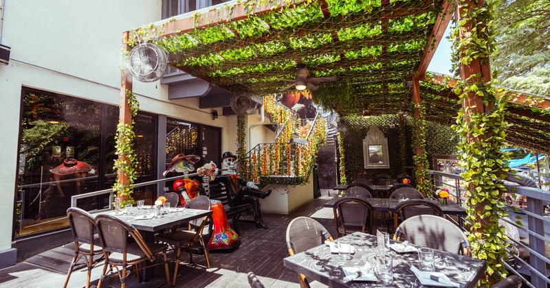 An outdoor restaurant patio with vine-covered pergola and mariachi statues