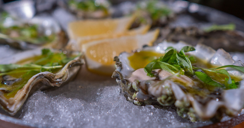 Oysters on the half shell, closeup