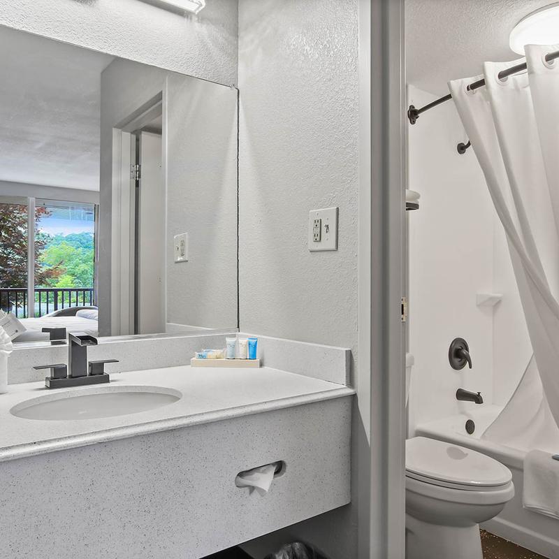 The bathroom sink and the shower curtains.