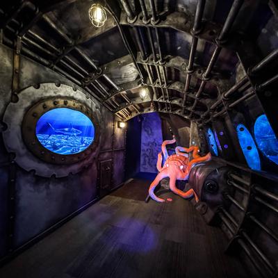 Indoor submarine with a large octopus model on the floor.