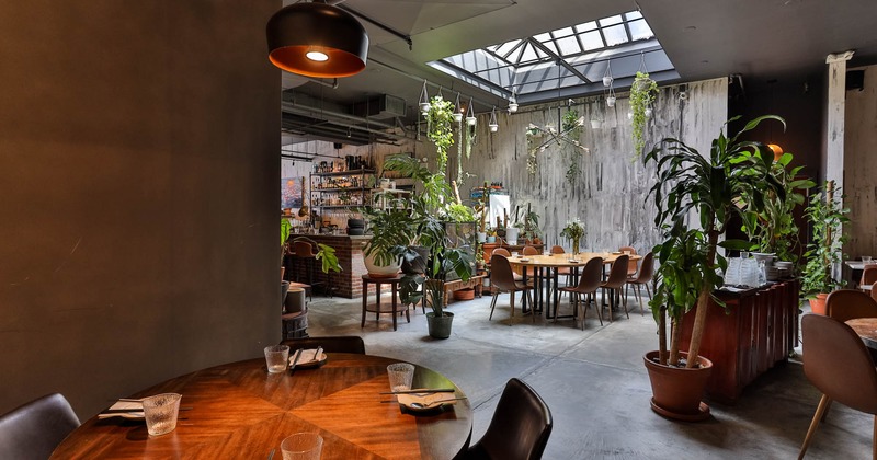 Interior, seating area, potted plants