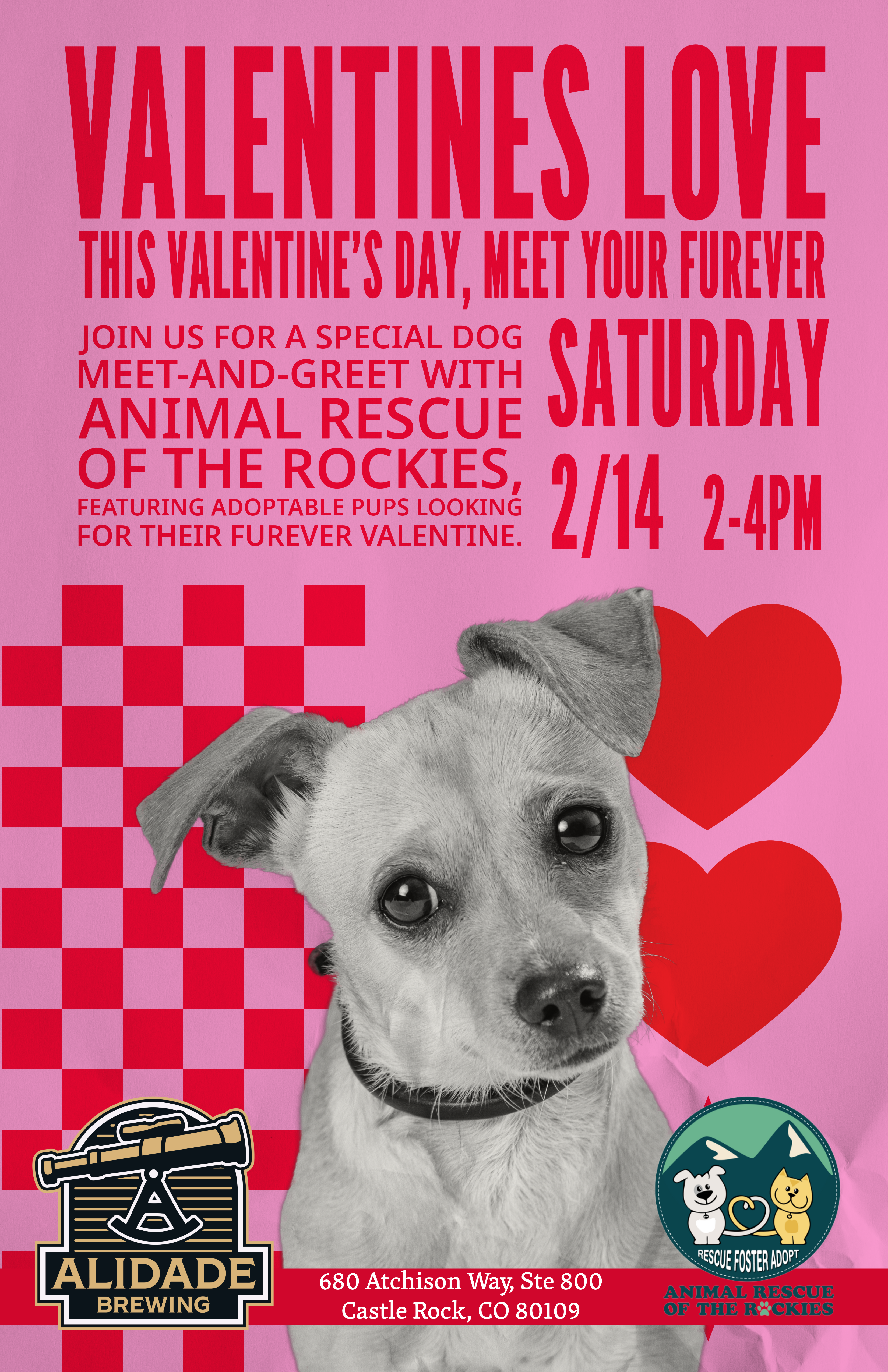 Puppy Adoption Event Poster - Feb 14th at Alidade