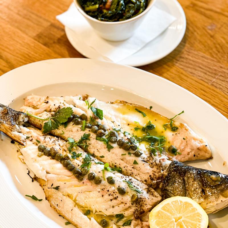 Florida Red Snapper photo