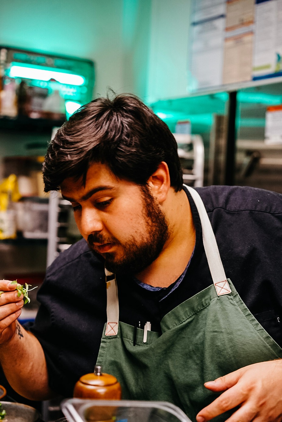 El Vinedo Local Midtown Atlanta, Atlanta, GA