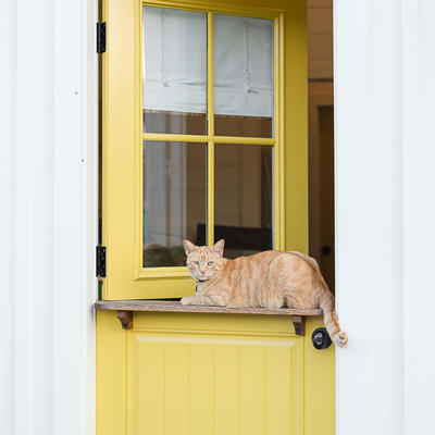 gallery photo number 17