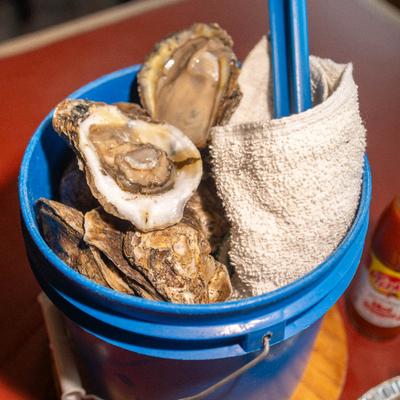 gallery photo number 79