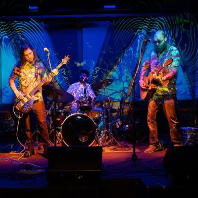 gallery photo number 592