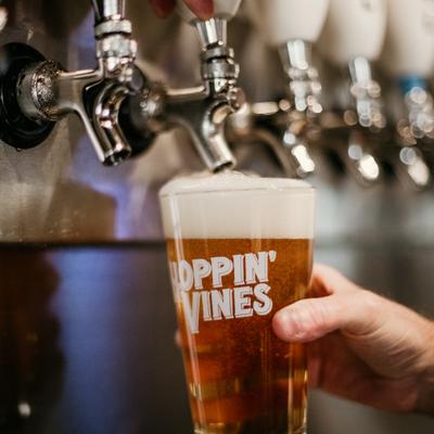 gallery photo number 19