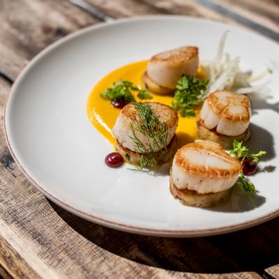 Scallops