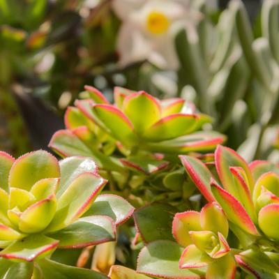 gallery photo number 124