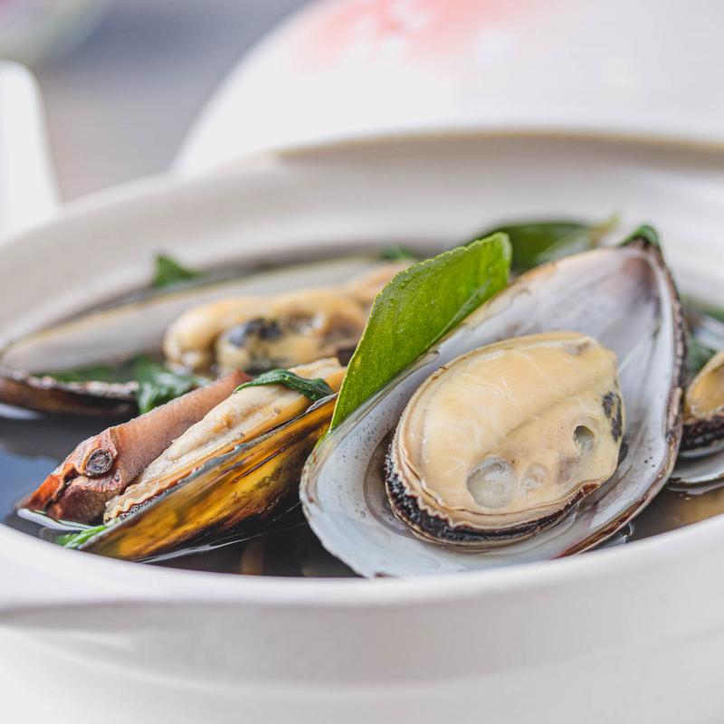 Millionaire Mussel (GF) photo